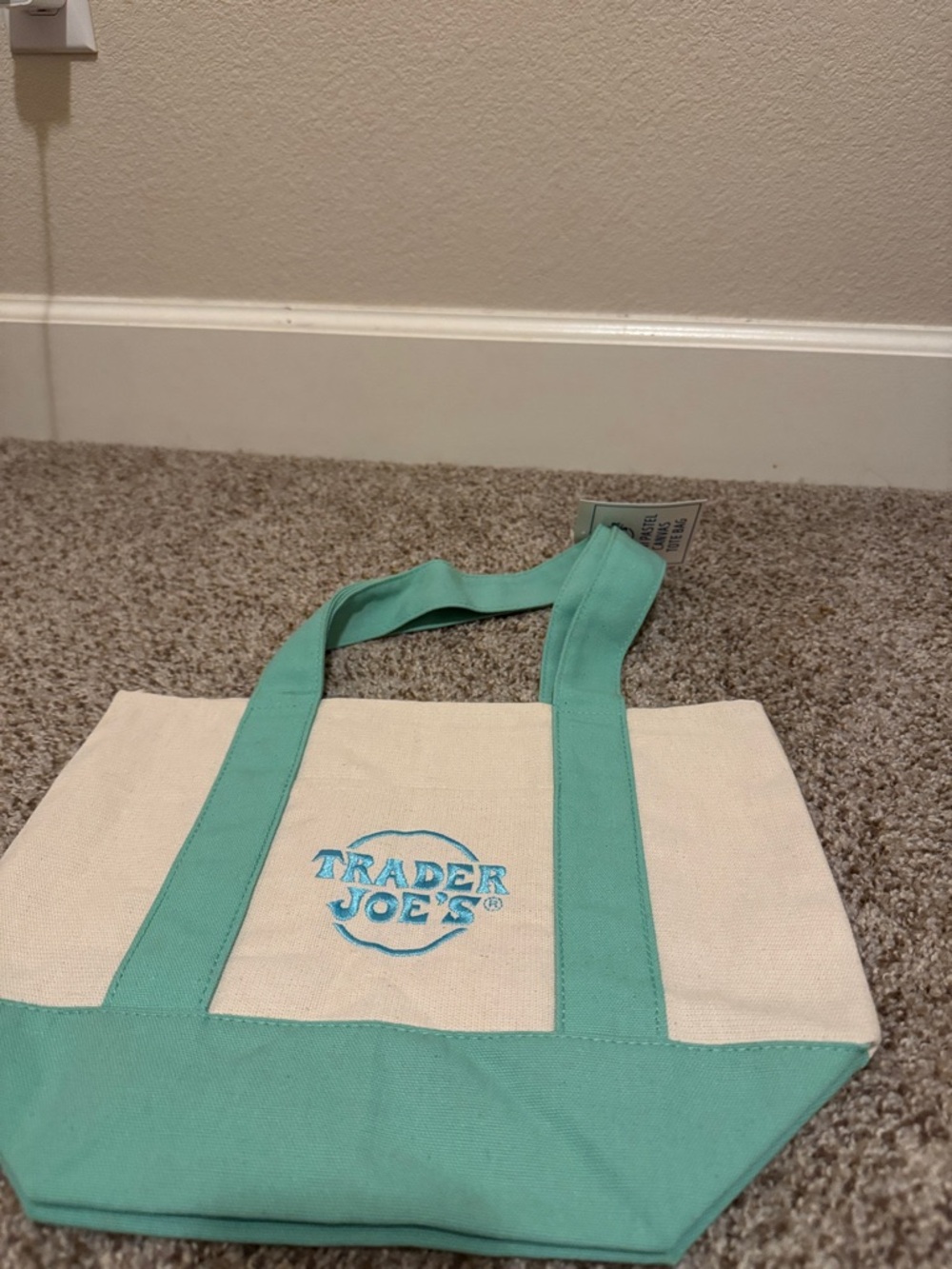 GREEN TRADER JOE'S MINI TOTE IN PASTEL GREEN